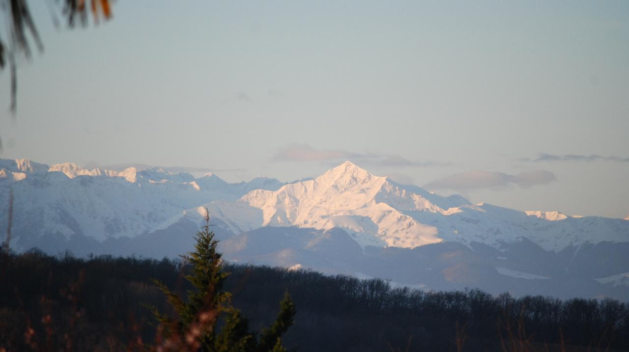 Gite Au Bouzigues Monlaur-Bernet Buitenkant foto