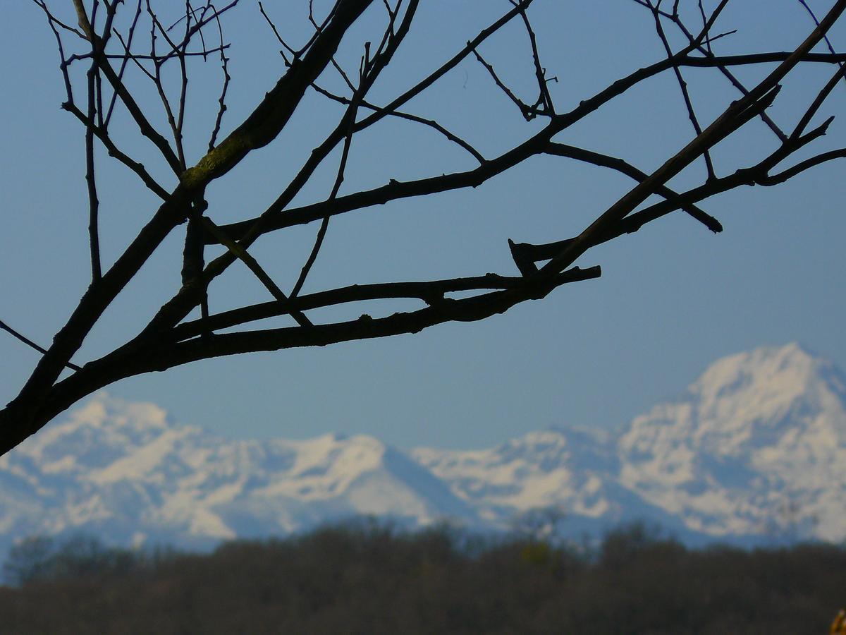 Gite Au Bouzigues Monlaur-Bernet Buitenkant foto